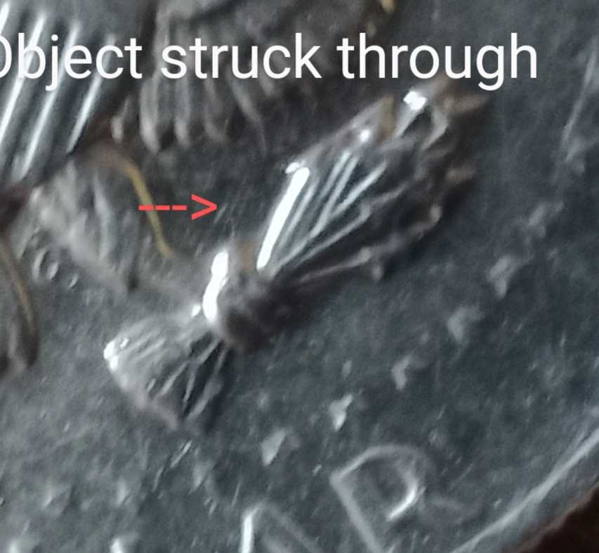 1981-Kennedy-Half-Dollar.-I-Am-Lost-On-This-One.-Help