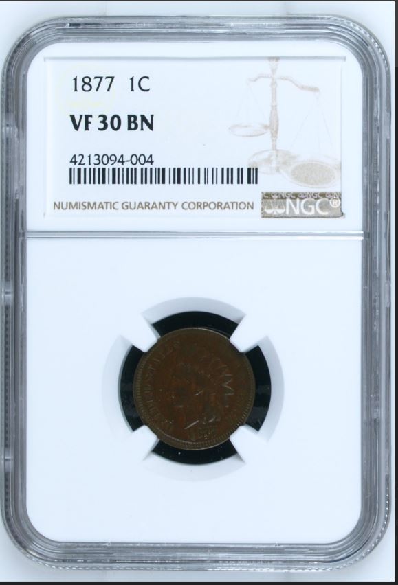 1877-Indian-Ebay-Listing-Appears-Counterfeit