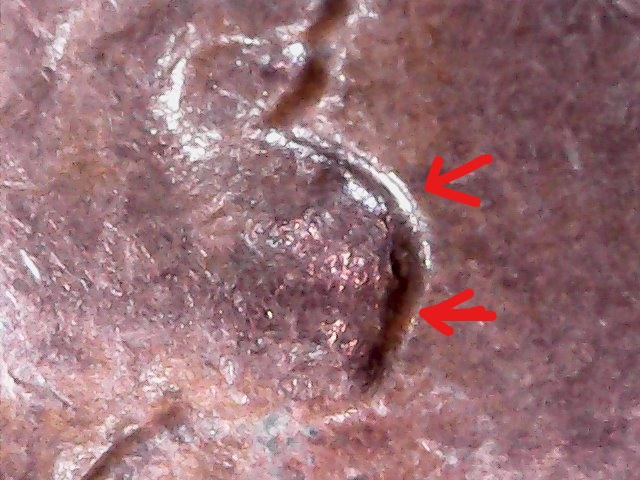 One-Cent-1956-Possible-Doubling?