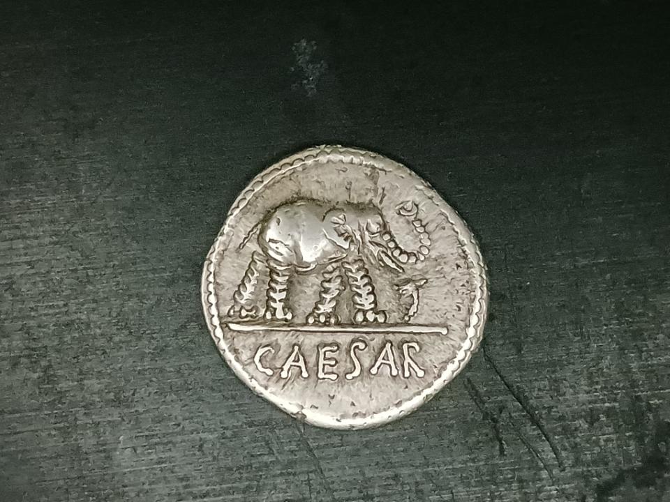 Julius-Caesar-Elephant-49Bc