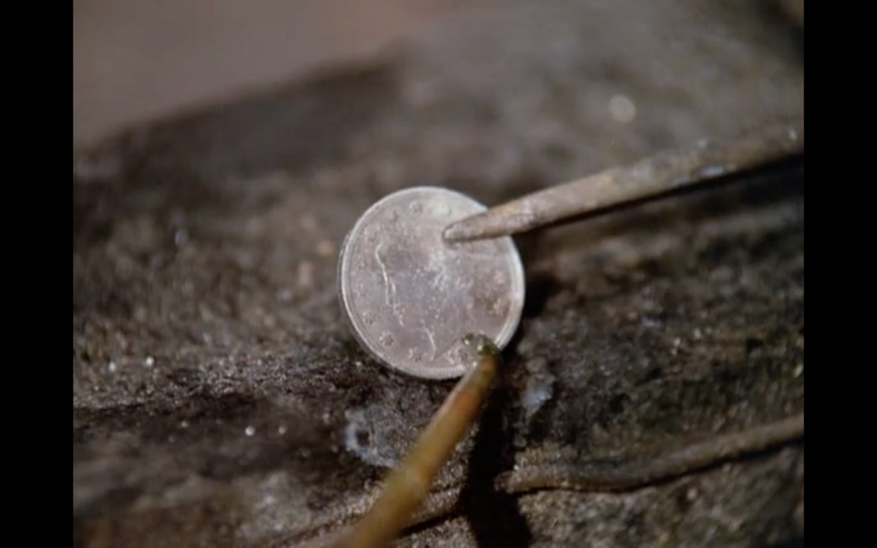 Coins-In-Movies-Or-On-Television
