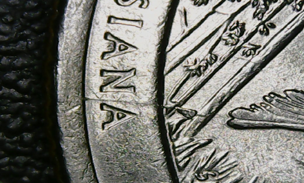Scared-Me!-My-2015-Louisiana-Turkey-Quarter