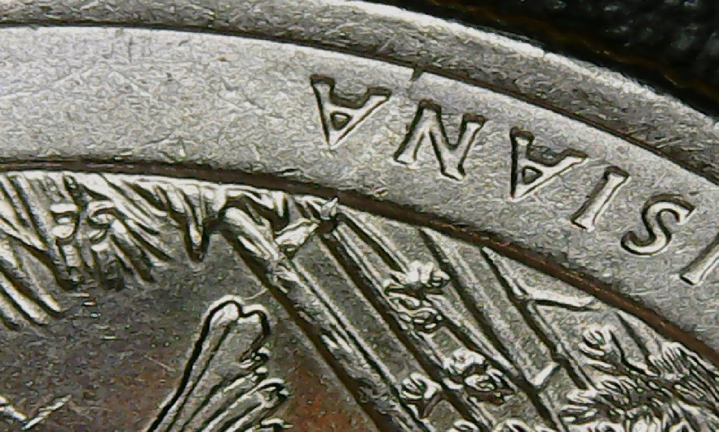 Scared-Me!-My-2015-Louisiana-Turkey-Quarter
