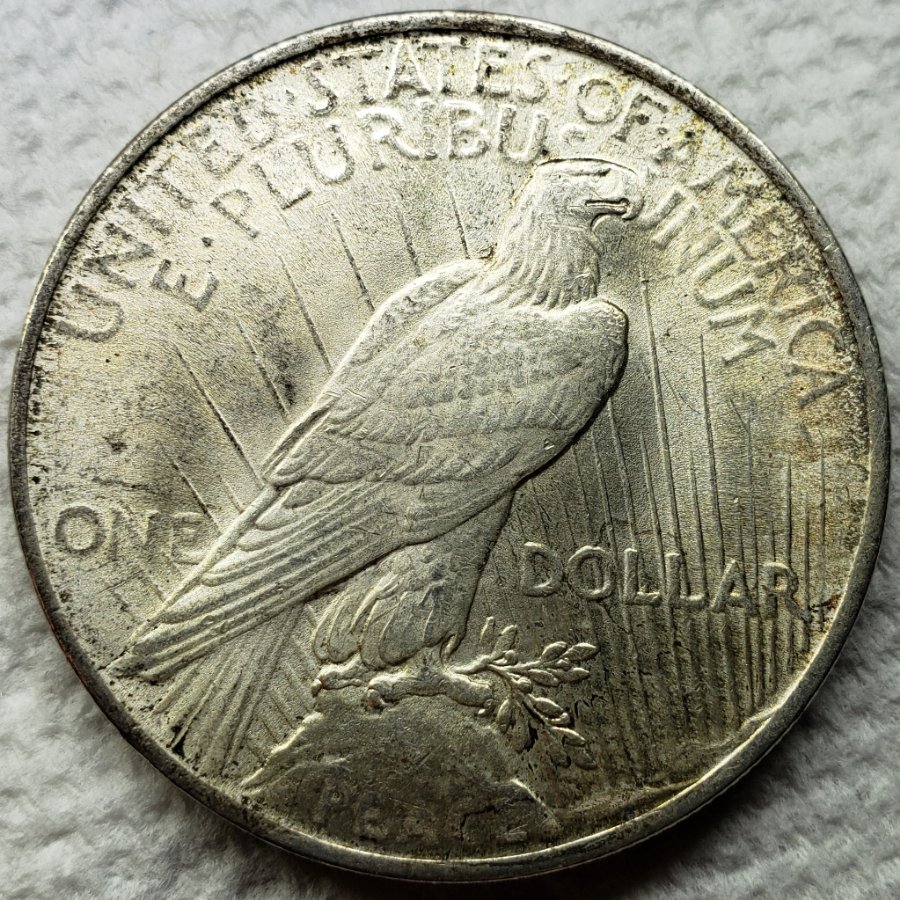 1924-P-Peace-Dollar,-Bought-As-BU