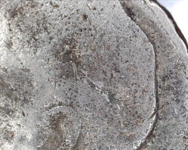 1980-D-Roosevelt-Dime.-What-Is-This?