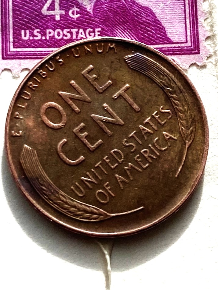 1931-S-Wheat-Back-Error?-Thoughts-On-Grade?