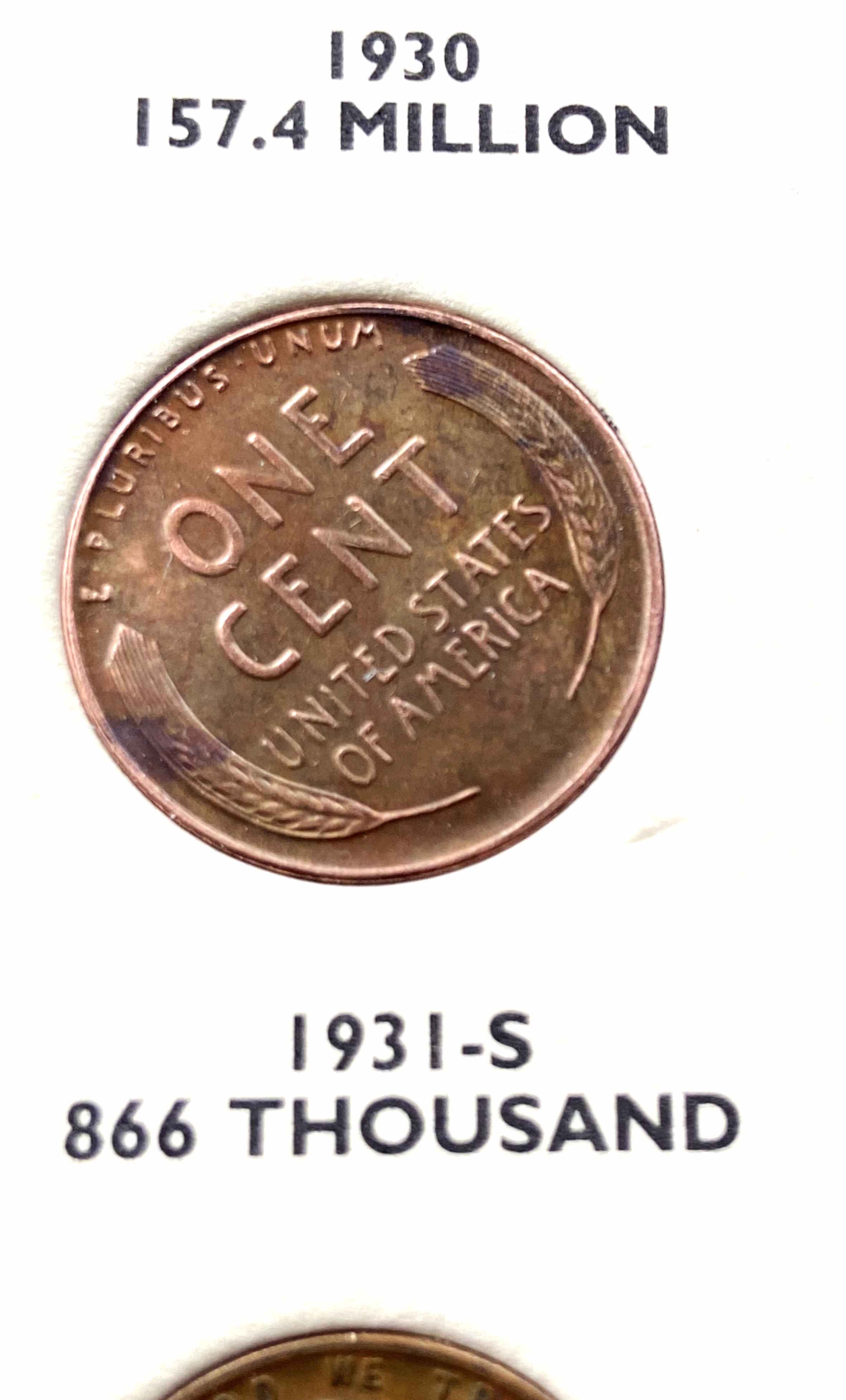 1931-S-Wheat-Back-Error?-Thoughts-On-Grade?