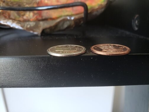 2019-Copper-Plated-Dime-In-Mint-Condition