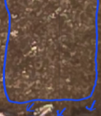 1964-No-Mint-Mark-Cent-SMS-Maybe-Not-Sure-With-Errors