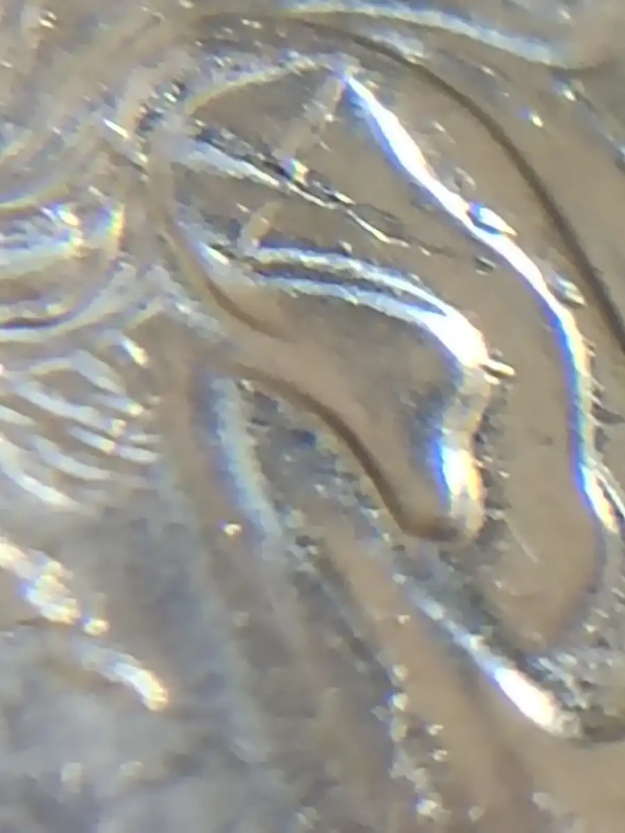 2025-20c-Charles-Ear-And-Claw