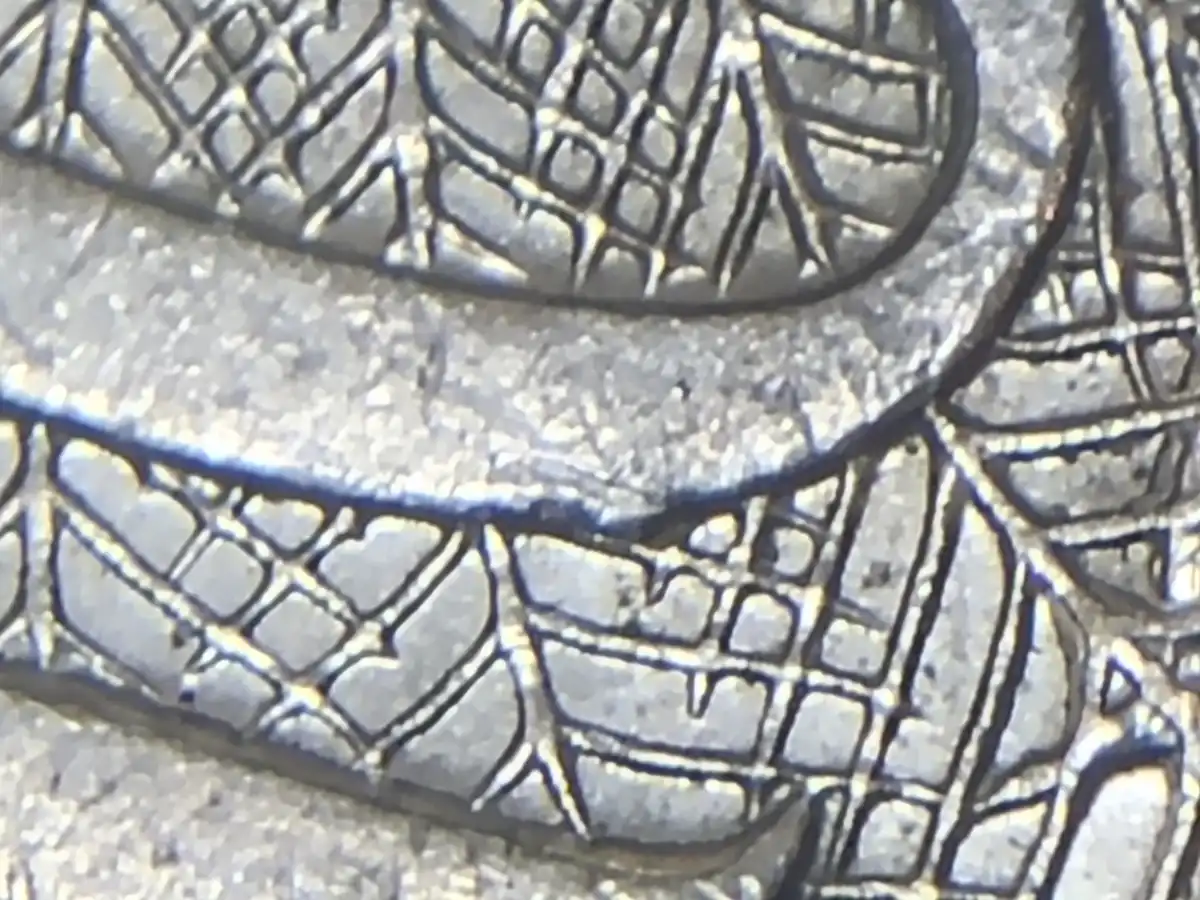 2003-10c-Repeating-Bird-Tail