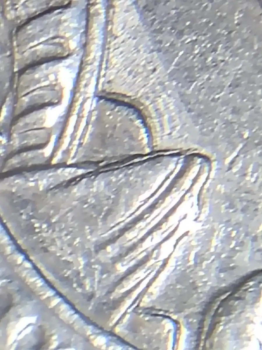 2003-10c-Repeating-Bird-Tail
