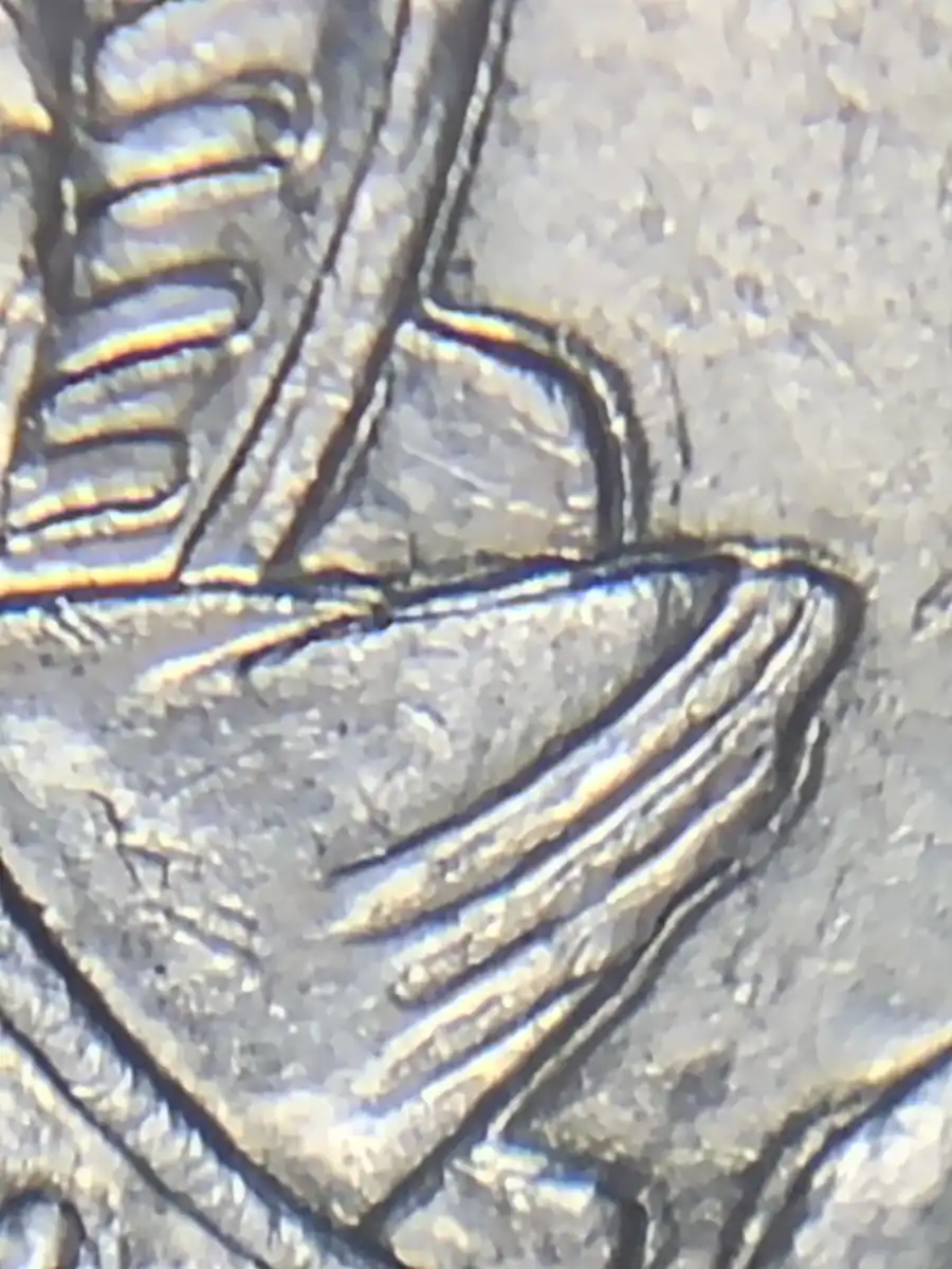 2003-10c-Repeating-Bird-Tail