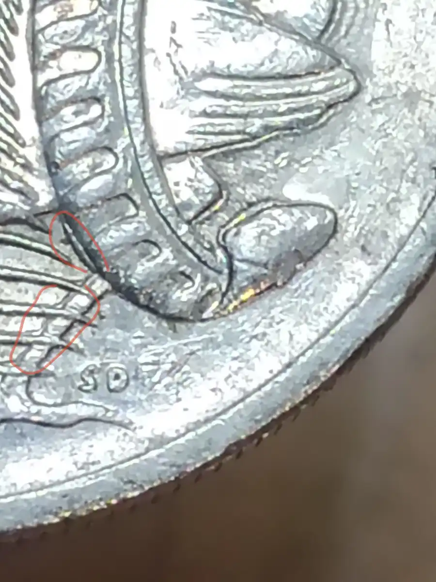 2003-10c-Repeating-Bird-Tail