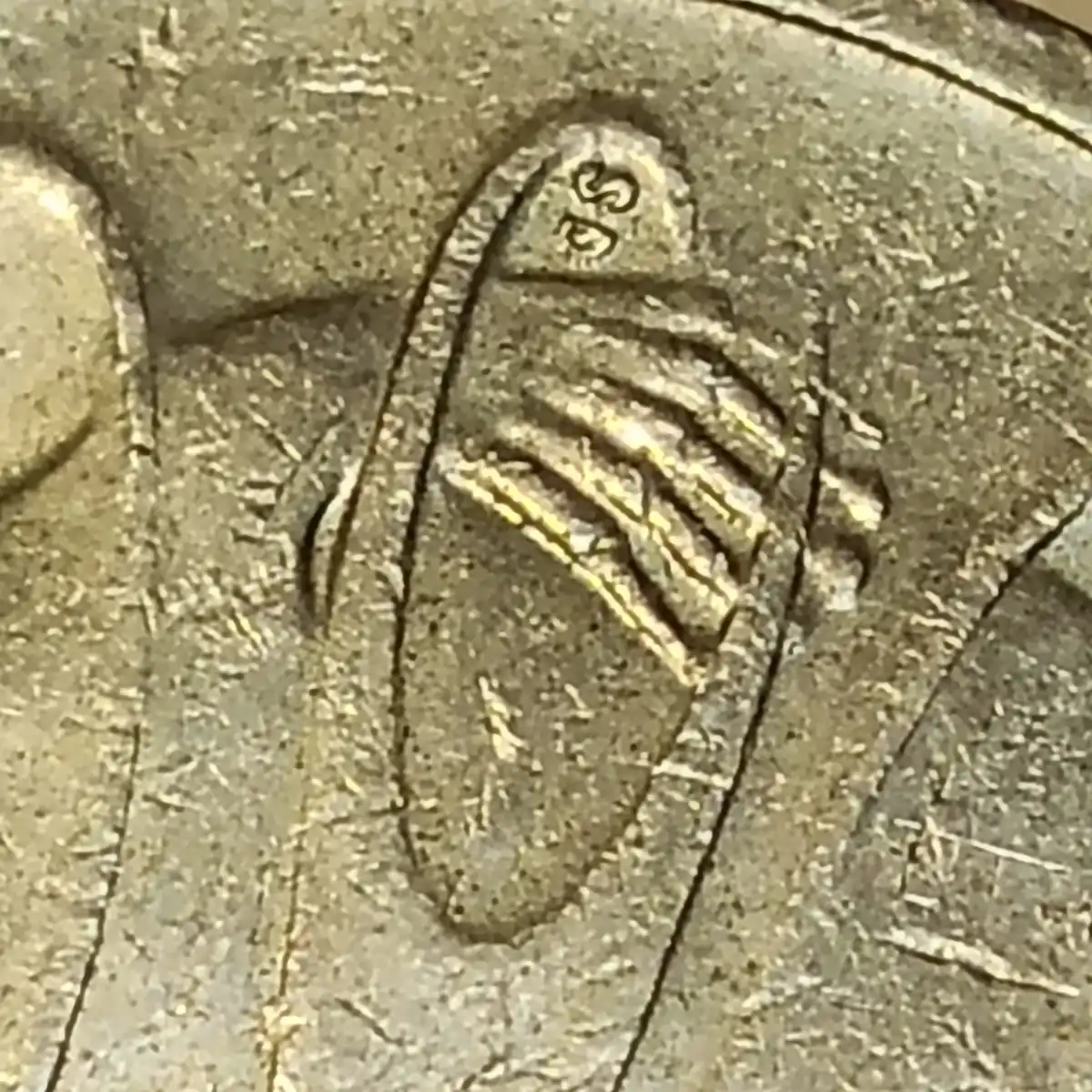 2007-Twenty-Cent-Coin-Missing-Main-Toe