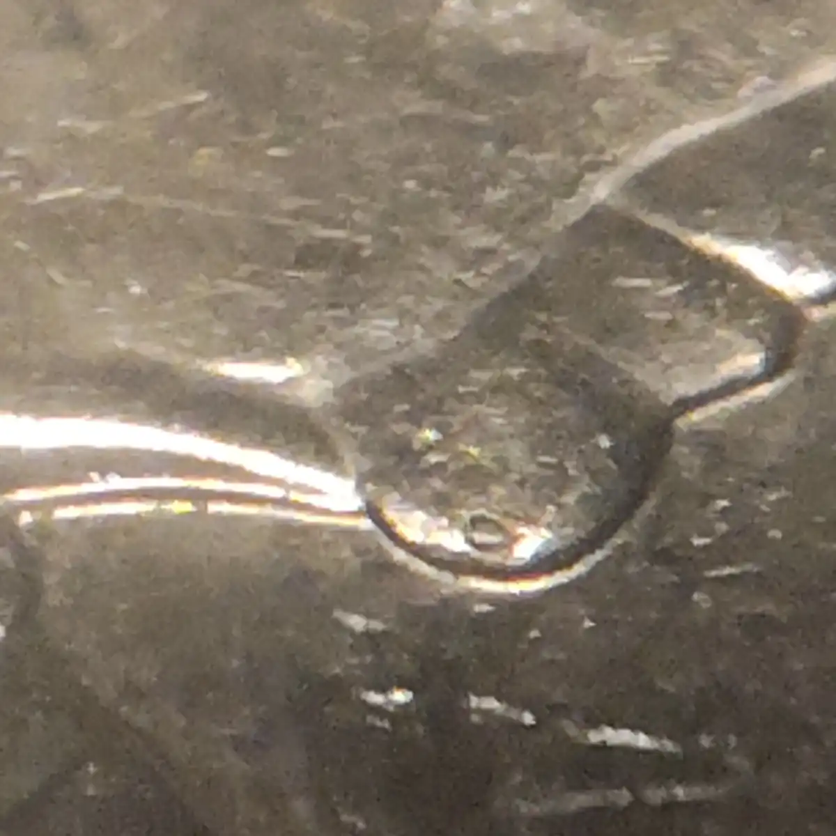 2020-Ten-Cent-Queen-Chin-Cud