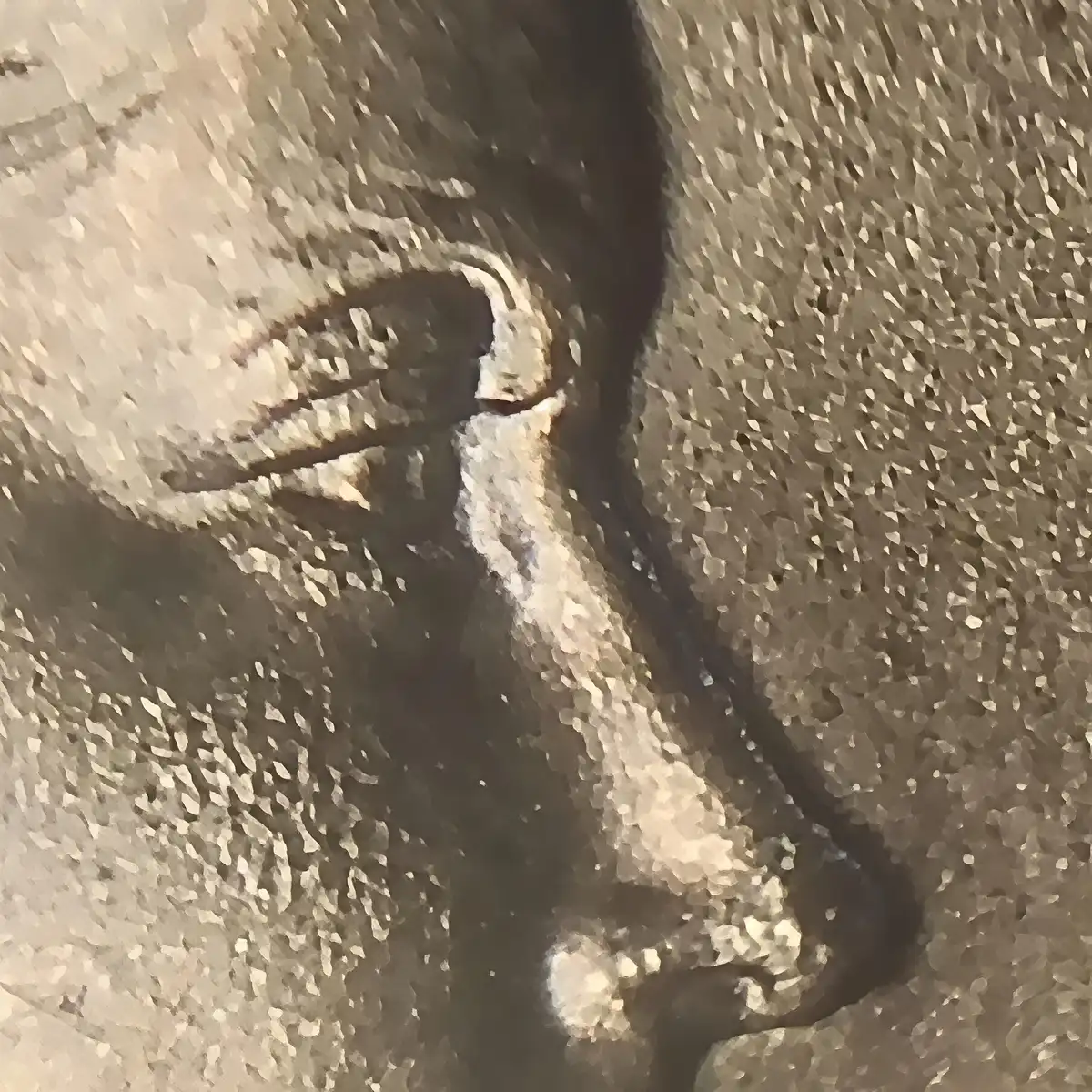 1982-10-Cent-Coin-Acne-Queen