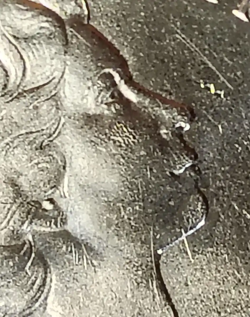 1982-10-Cent-Coin-Acne-Queen