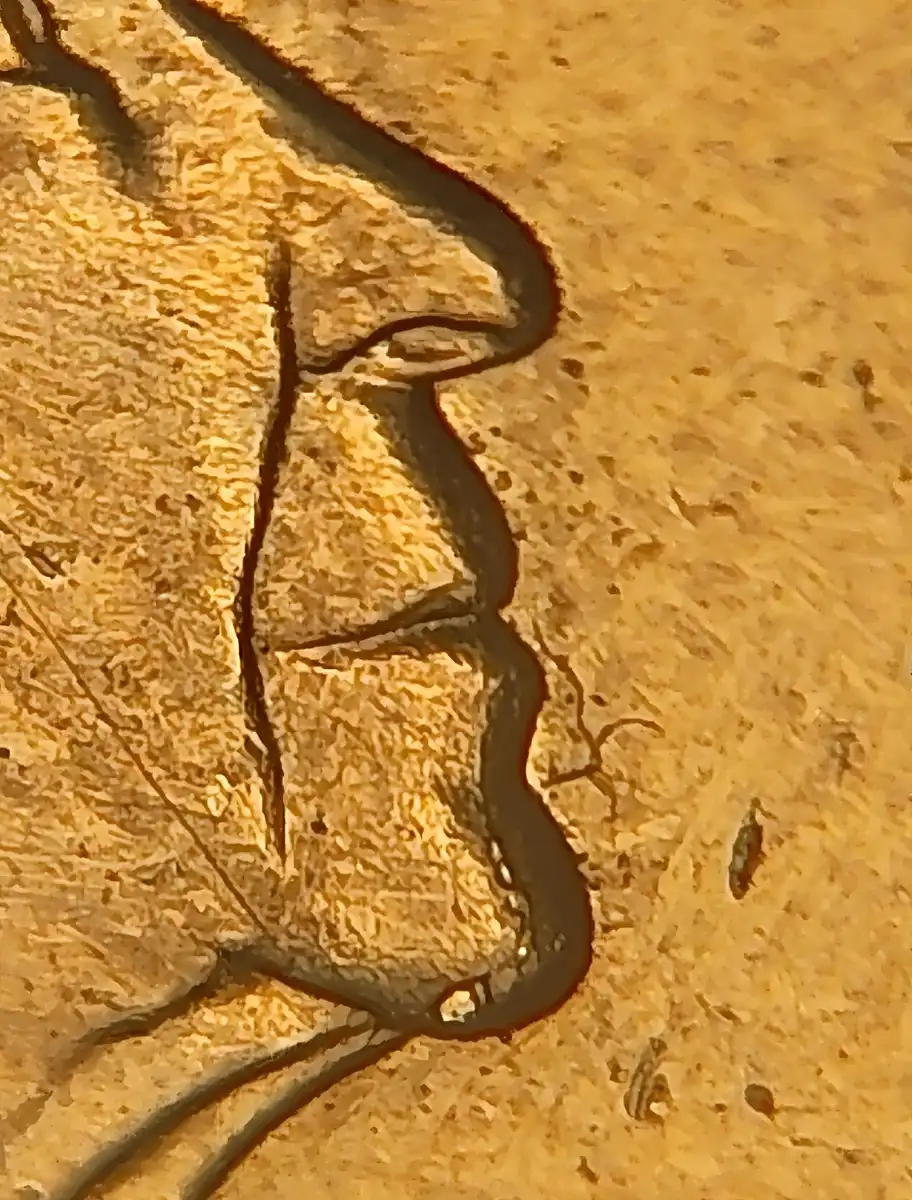 2022-5c--Progressive-Internal-Chin-Crack-With-Multiple-Cuds-Obv/Rev
