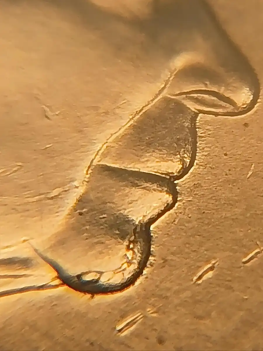 2022-5c--Progressive-Internal-Chin-Crack-With-Multiple-Cuds-Obv/Rev