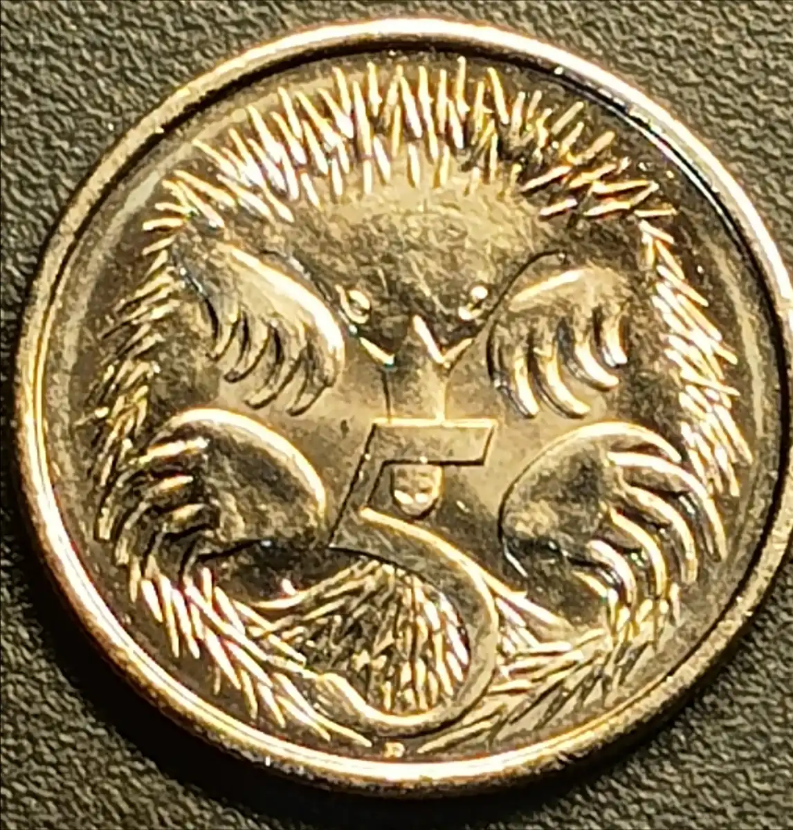 2022-5c--Progressive-Internal-Chin-Crack-With-Multiple-Cuds-Obv/Rev