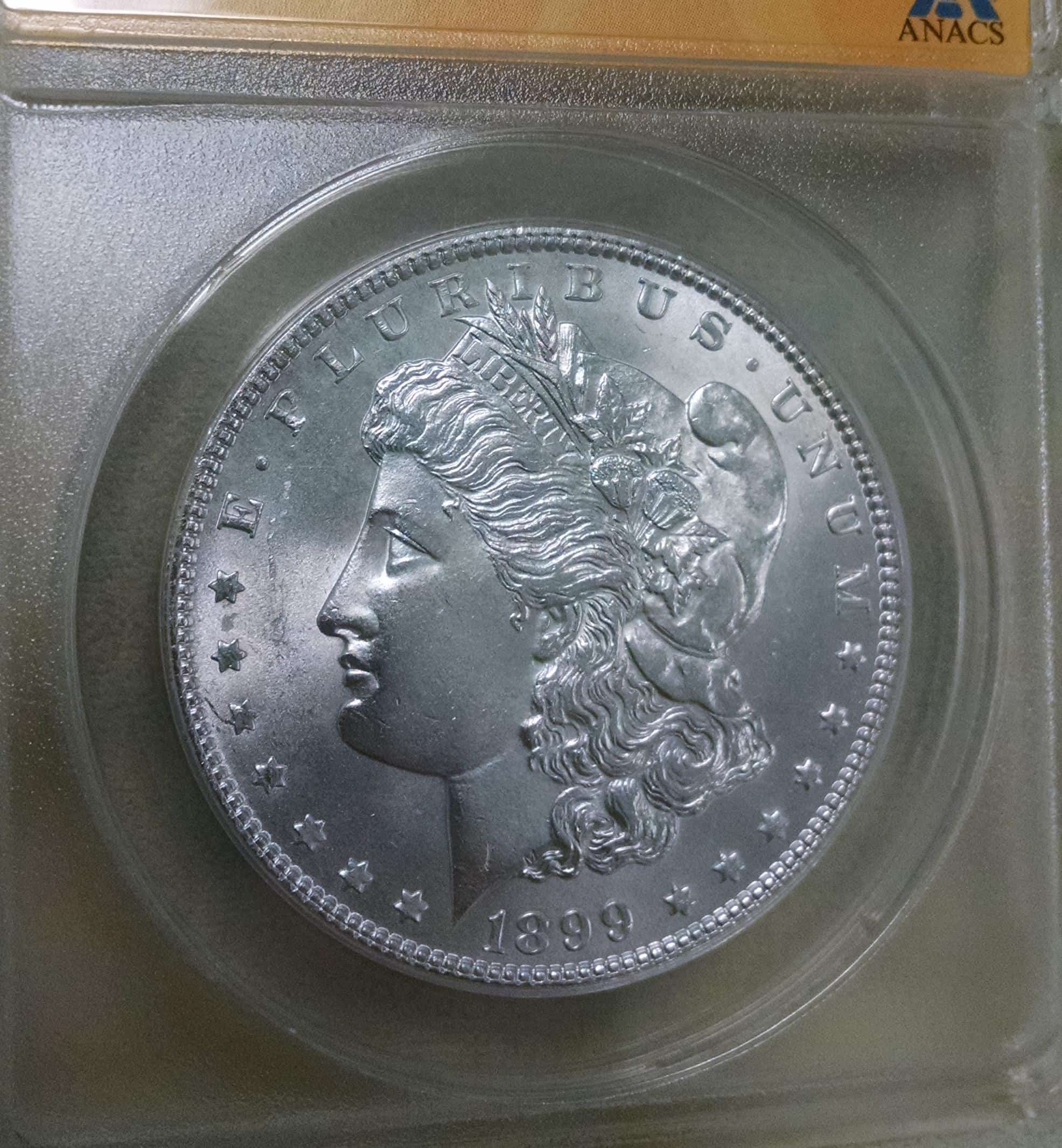 Thoughts-On-These-2---1899-Morgan-Dollars-PCGS-&-ANACS