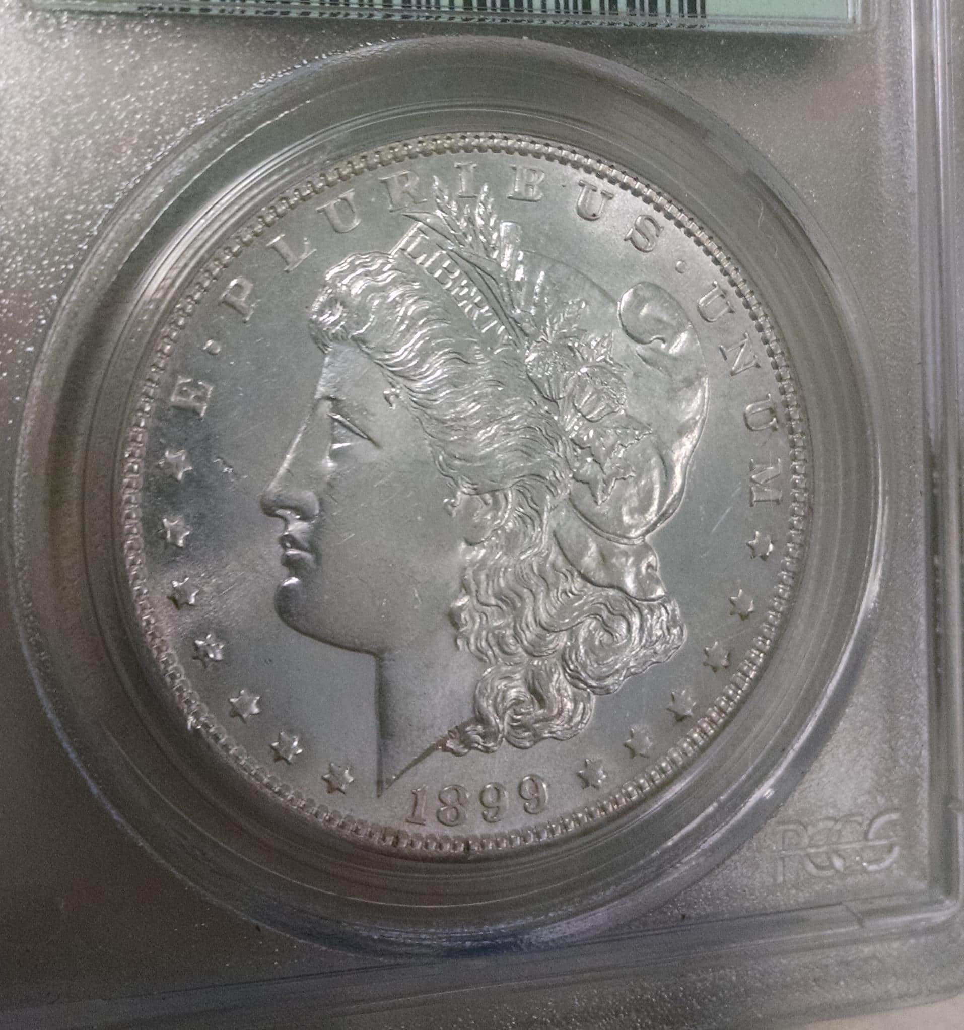 Thoughts-On-These-2---1899-Morgan-Dollars-PCGS-&-ANACS