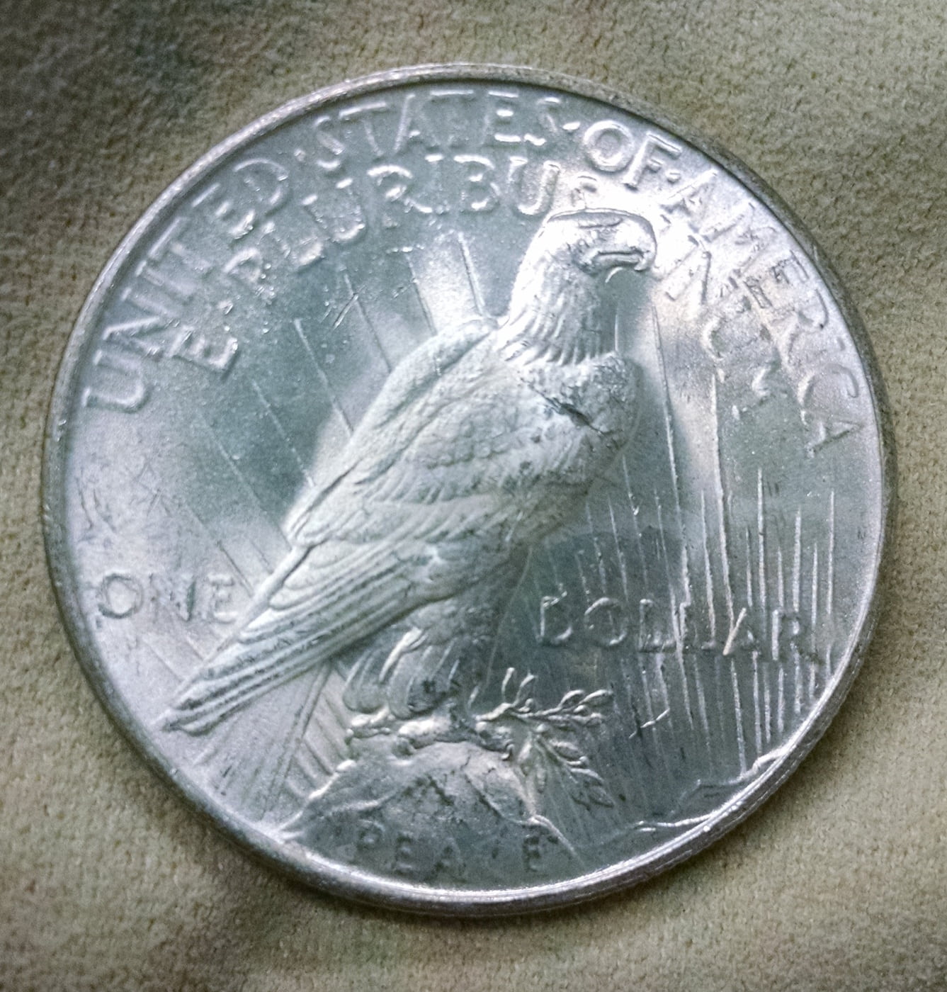 Thoughts-On-This-1923-Peace-Dollar-?