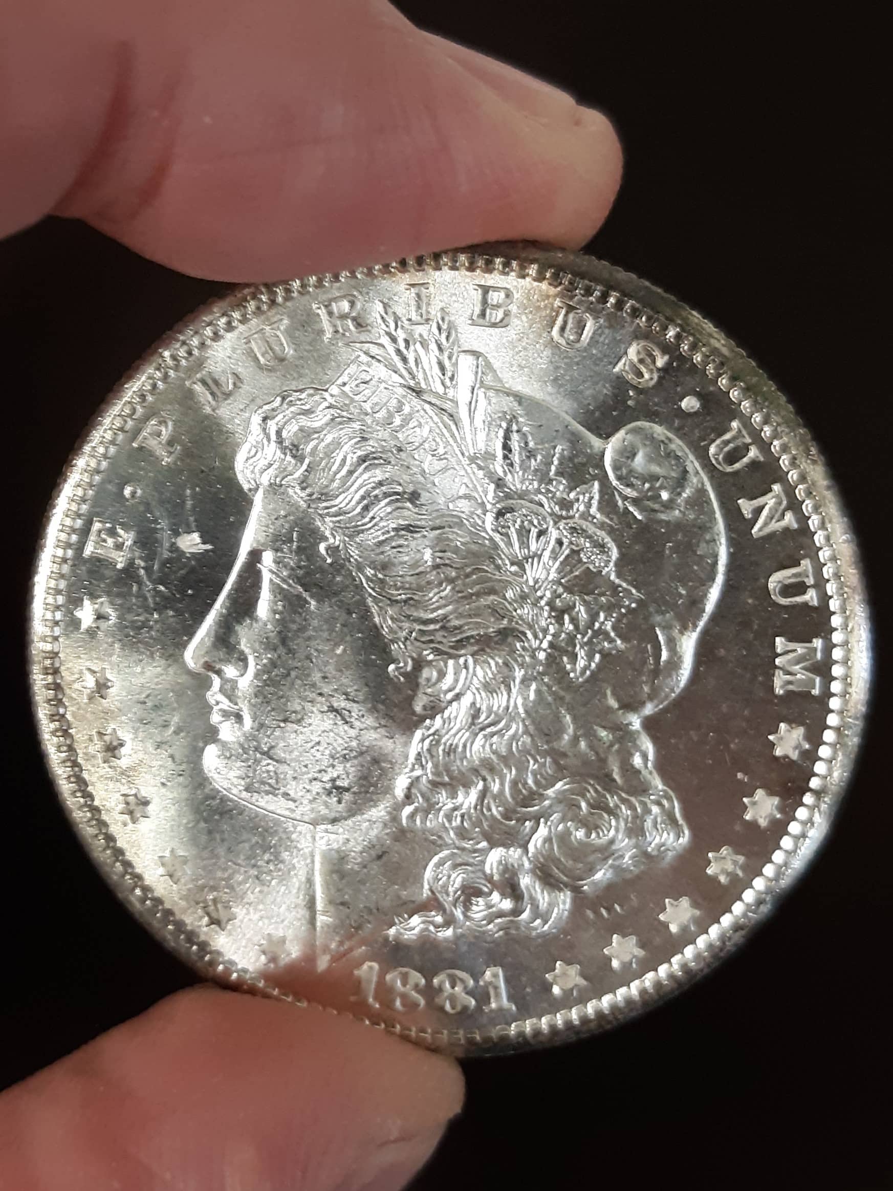 Grade-Opinions-On-1881-S-Morgan-Dollar