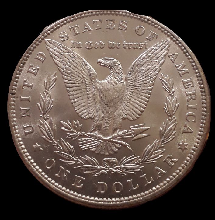 1886-Morgan-Dollar,-Grading-Needed