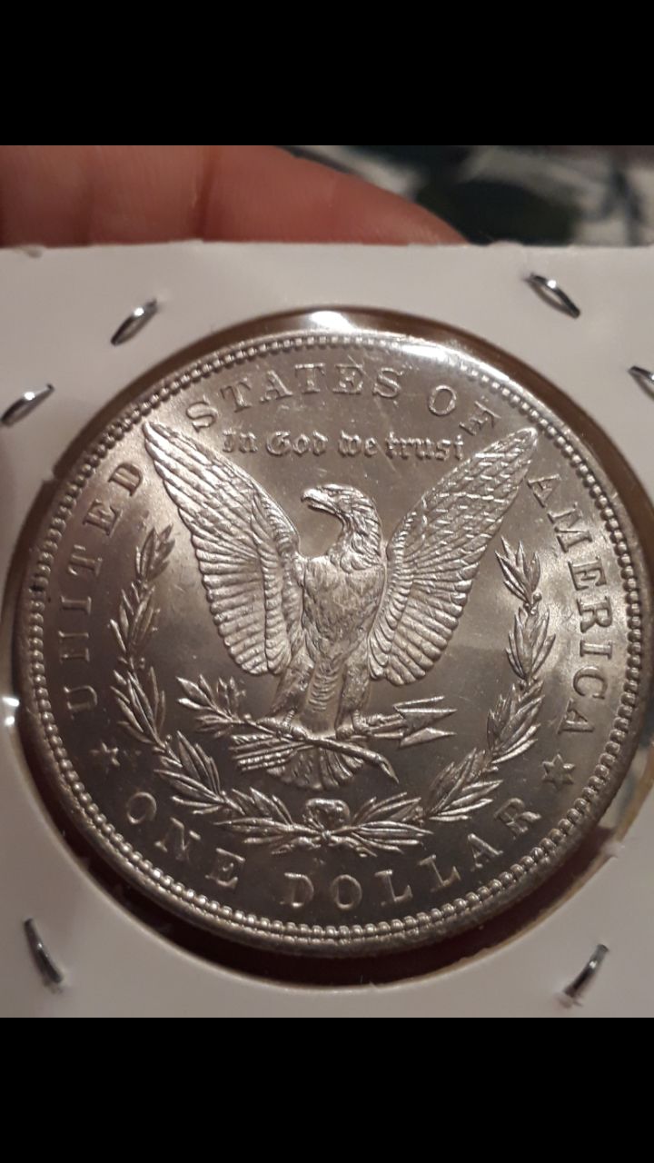 1886-Morgan-Dollar,-Grading-Needed