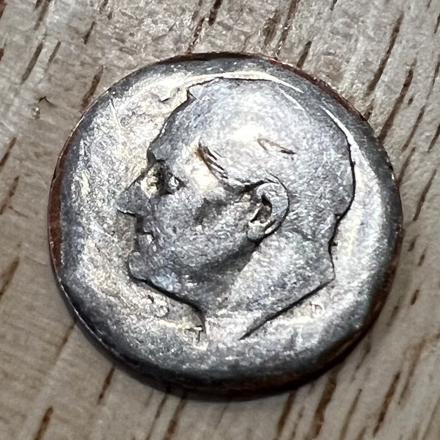 Came-Across-A-Wild-Dime-Today: