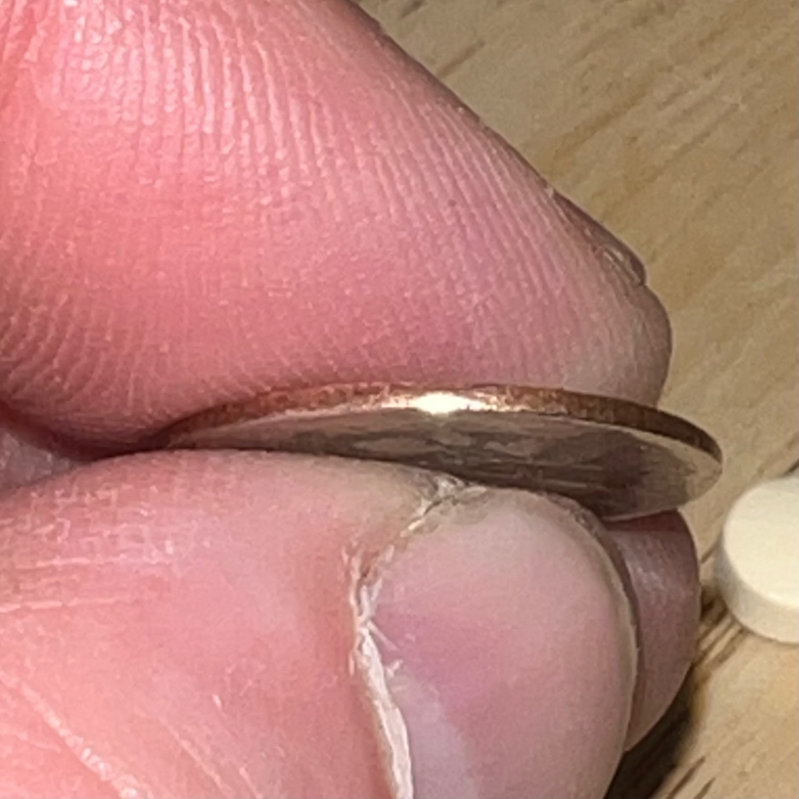 Came-Across-A-Wild-Dime-Today: