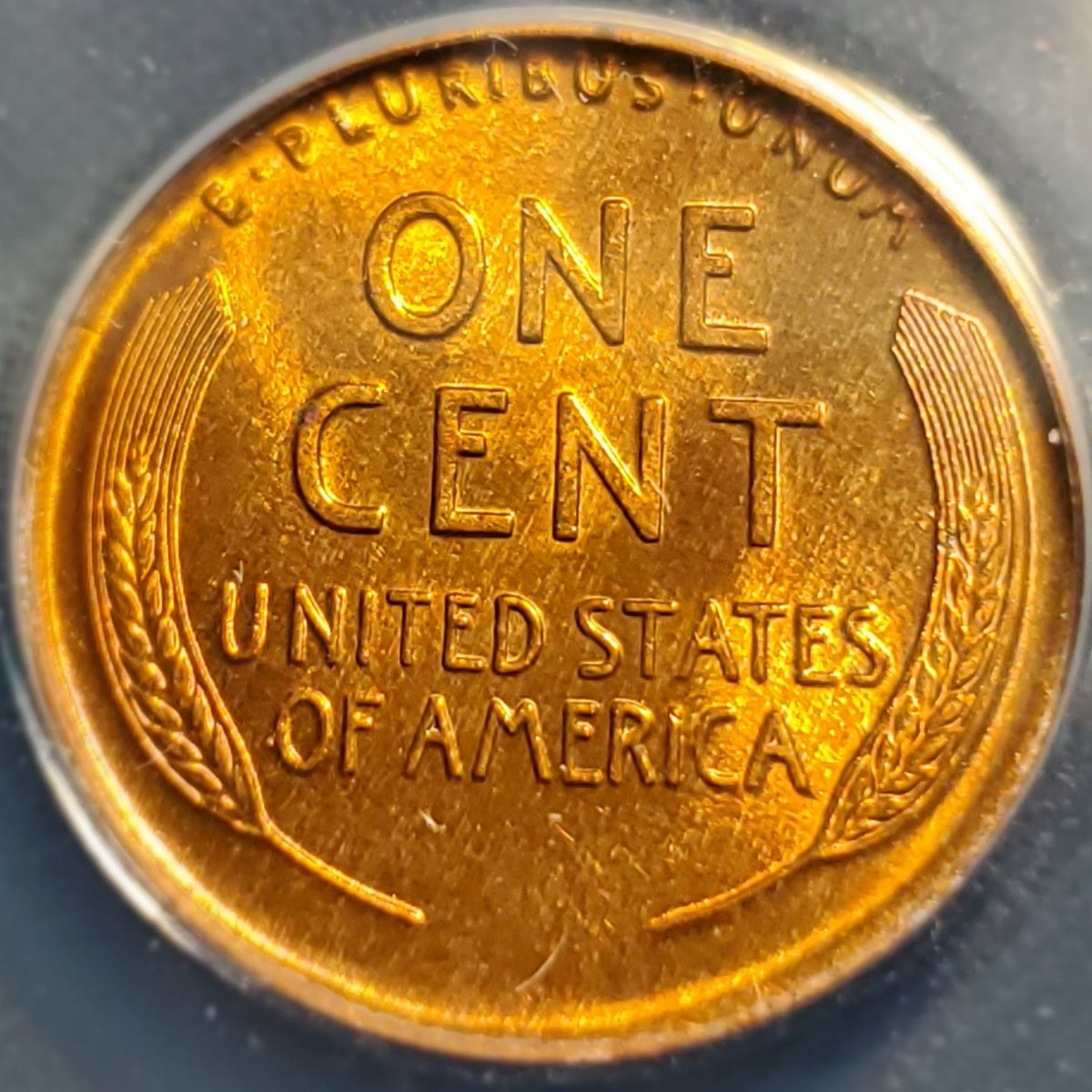 1917-1c-You-Vs.-ANACS