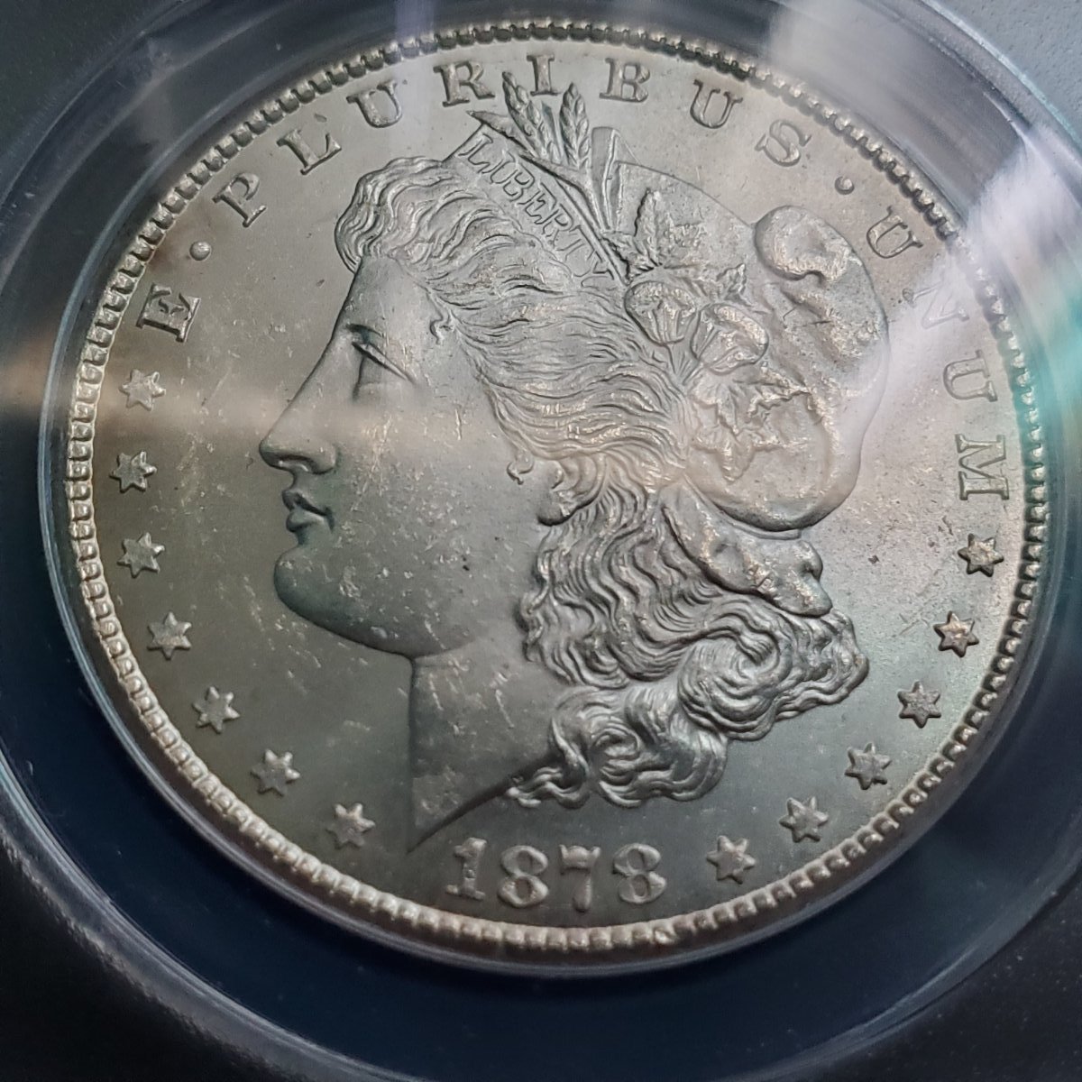 You-Vs.-ANACS-1878-CC-Morgan