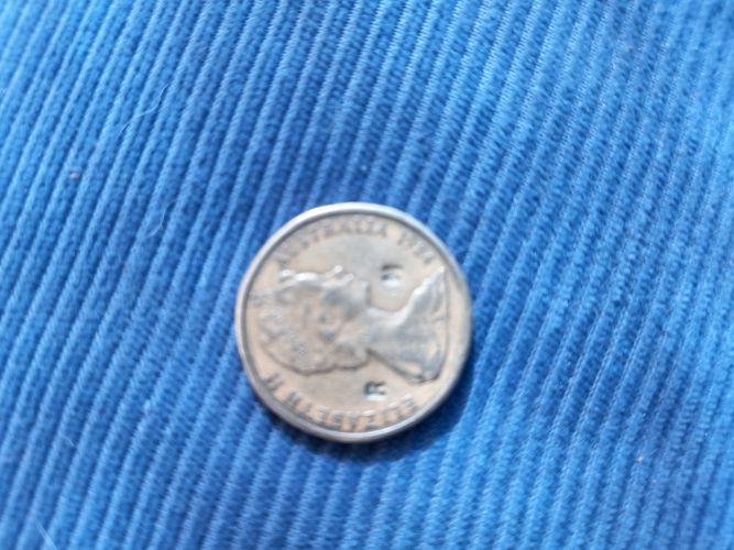 1984-$1-Aust.-Coin--R-M-Punched-Either-Side-Of-Her-Neck