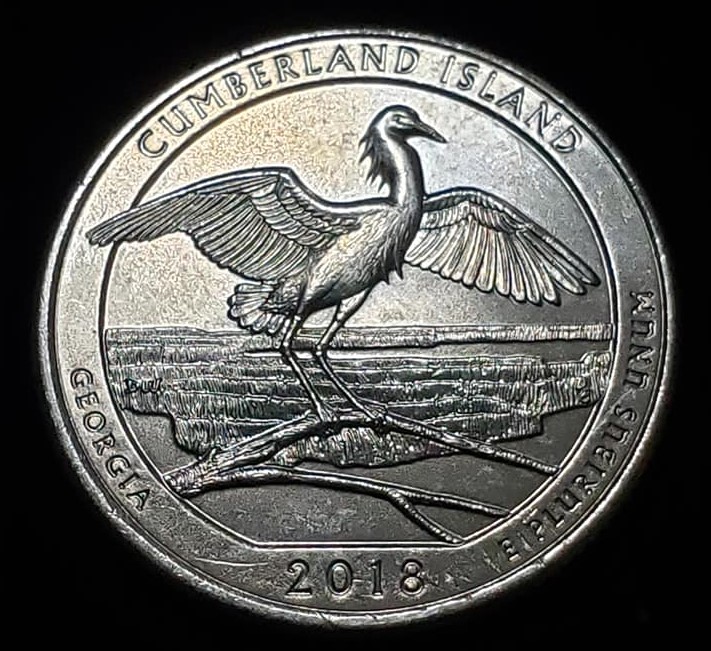 Gnarly-Rim-Cud-On-A-2018-Cumberland-Island-Quarter