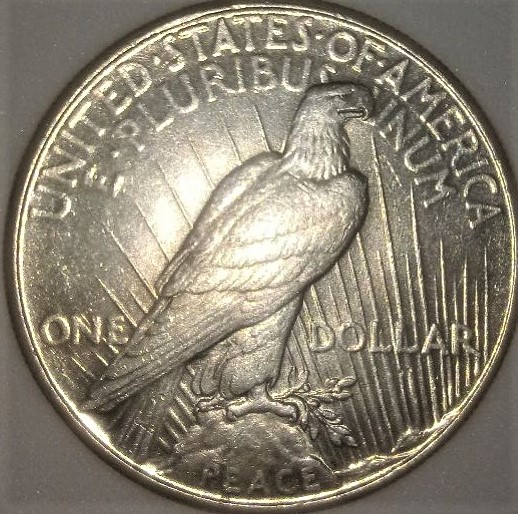 Repost-With-Better-Pictures.-{1934-Peace-Dollar}
