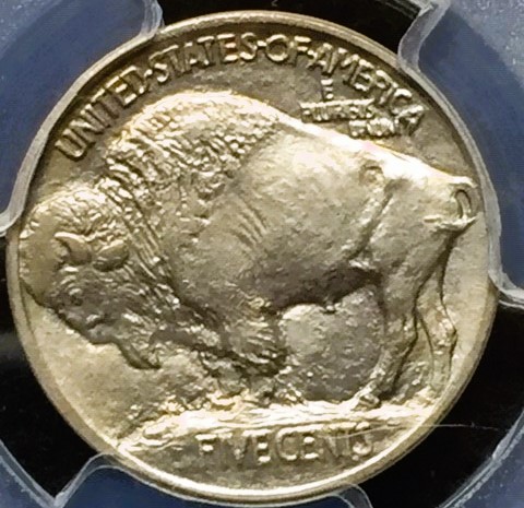 2-Coins,-Same-But-Different---Show-Yours