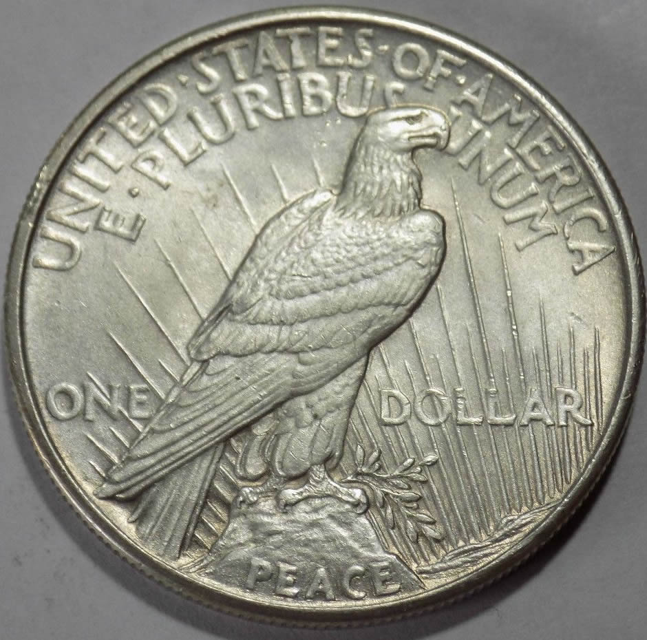 1921-Peace-Dollar.--I-Wanted-To-Bid-On-It