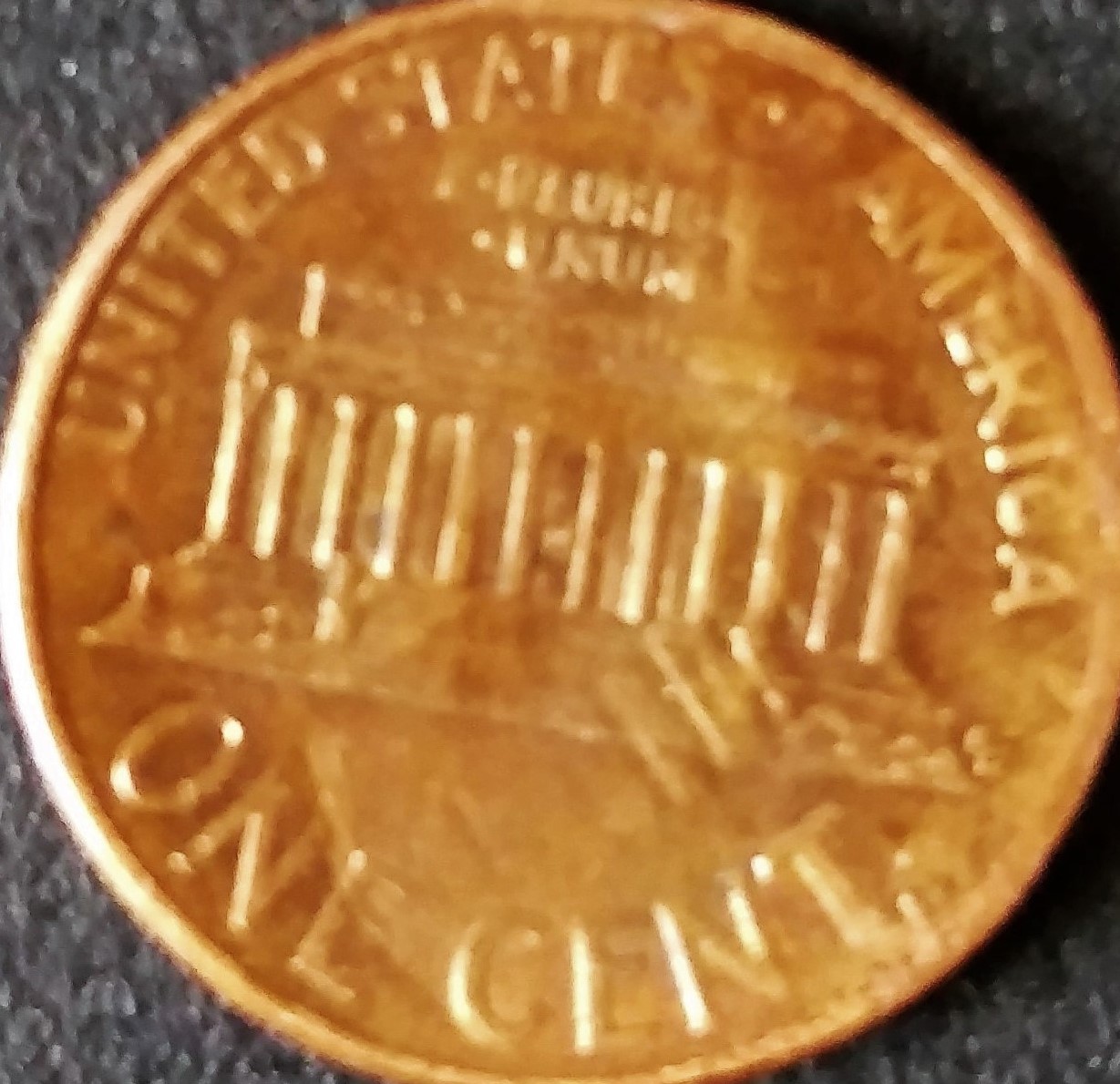New-Member-From-Chicago