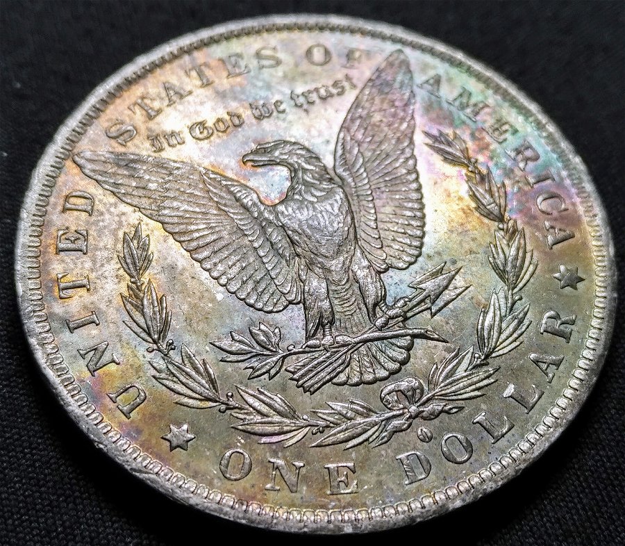 1884-O-Morgan---Please-Grade