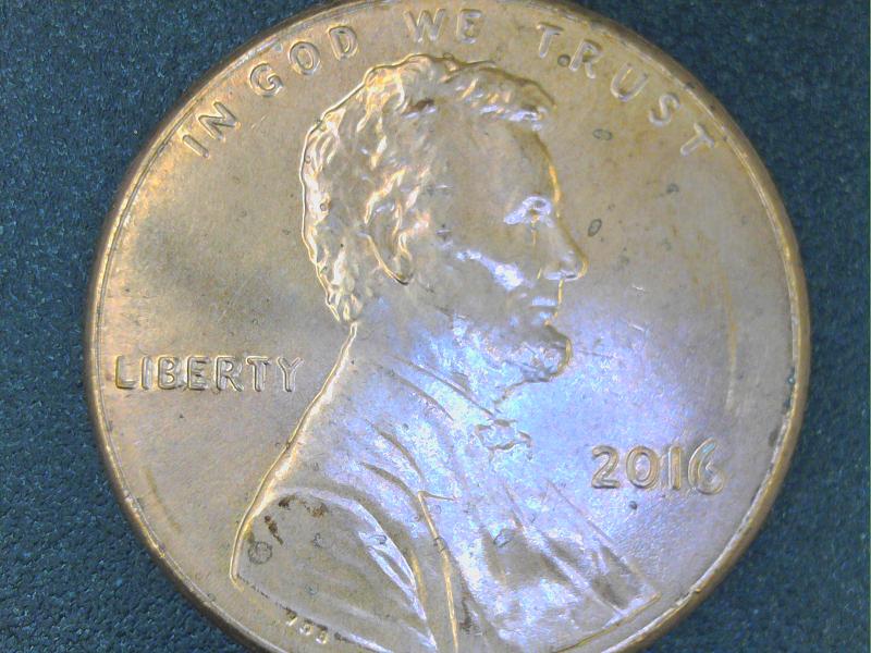 2016-Penny-Double-Ear,-MD-Or-Normal