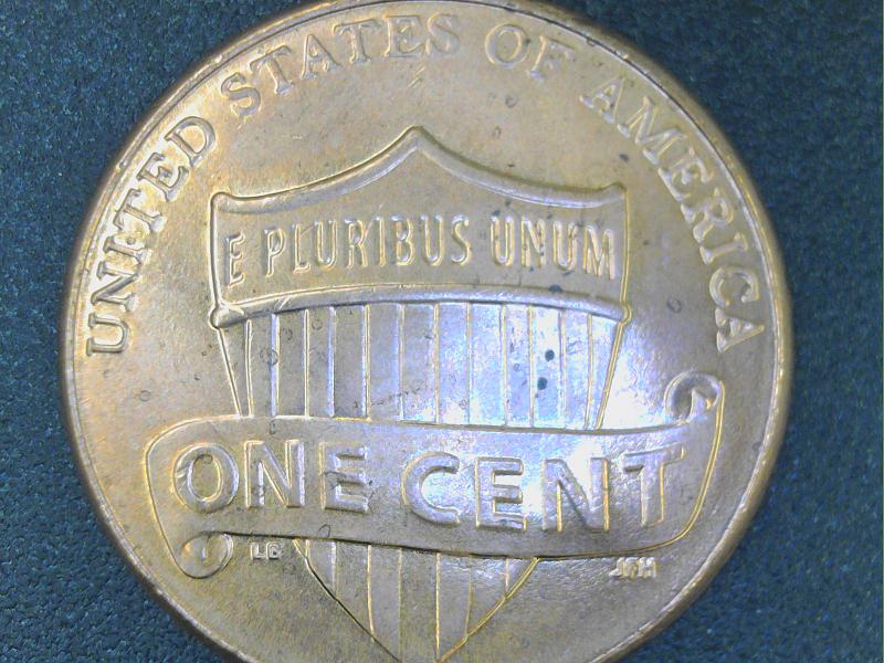 2016-Penny-Double-Ear,-MD-Or-Normal