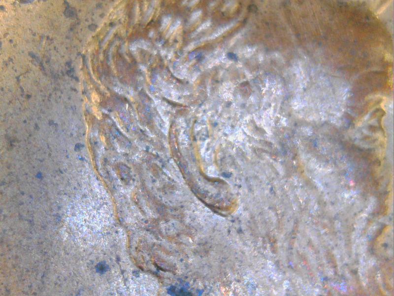 2000-Penny-MD-Or-Double-Ear?