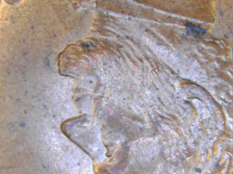 2000-Penny-MD-Or-Double-Ear?