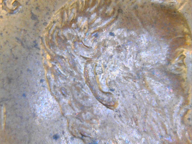 2000-Penny-MD-Or-Double-Ear?