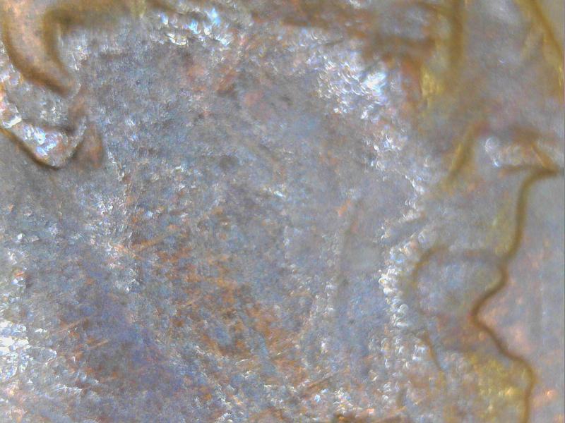 1988-Penny-MD-Or-Partial-Earlobe,-Like-1999-Penny