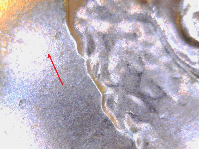 2017-Penny---May-Be-WDDO-01/Ddr?
