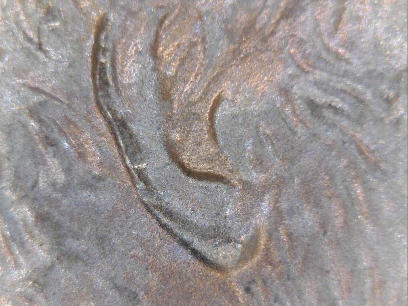 2000-Penny-Double-Ear-Almost-A-Match-Of-Vista-1997-Earlobe?